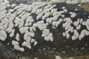 Grease Trap: Best Practices and Benefits