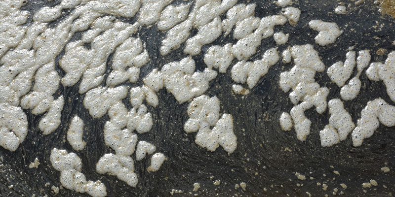 Grease Trap: Best Practices and Benefits